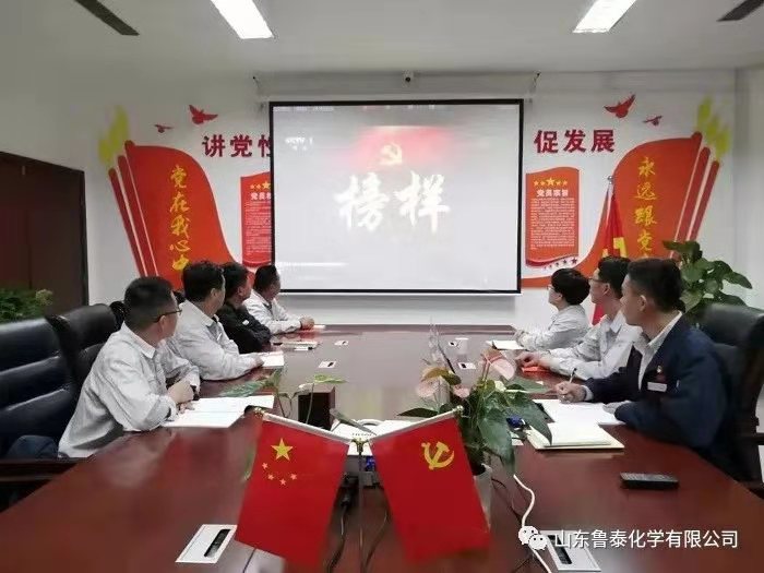 海鸥体育“主题党日+”模式让组织生活“神形兼备” (4).jpg